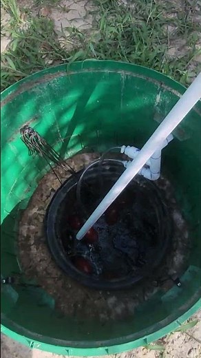 Amazingly Clean Effluent From a Septic Tank! #septictanks #septictankpumping #septictankcleaning