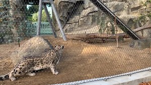 2.4K views · 230 reactions | We are excited to announce that...