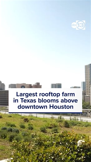 81K views · 1.3K reactions | Did you know the largest rooftop farm in Texas is blooming above downtown Houston? ABC13's Localish is celebrating Earth Month and highlighting Skyfarm at POST Houston. This Friday you can make and impact by e-cycling harmful unwanted electronics at our 18th annual ABC13 Earth Day E-Cycle Drive! https://abc13.com/16232914/ | ABC13 Houston | Facebook