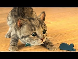 Little Kitten & Friends - Learn with the cutest cat! (Fox and Sheep) Part 19 - Best App For Kids