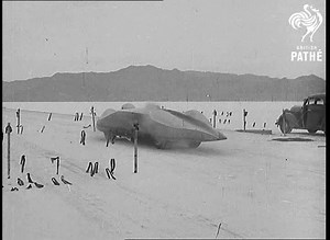 13K views · 216 reactions | This week we’ve picked some footage of...