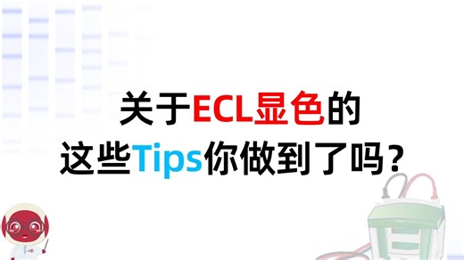 关于ECL显色的这些Tips你做到了吗？