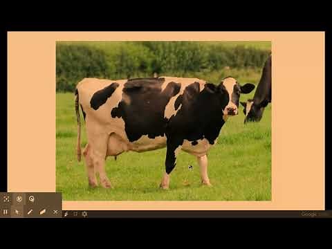 6.1.2. Patterns of inheritance h) Artificial selection and selective breeding