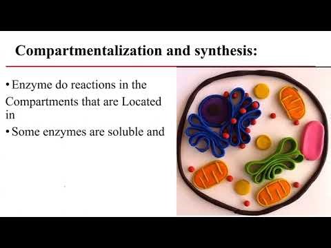Enzymes medical uses + Enzymes inhibitors: competitive, non-competitive and Uncompetitive