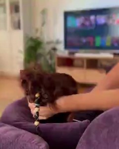 6.6K views · 3 comments | Your guide to Christmas TV  | Grimsby Live | Facebook