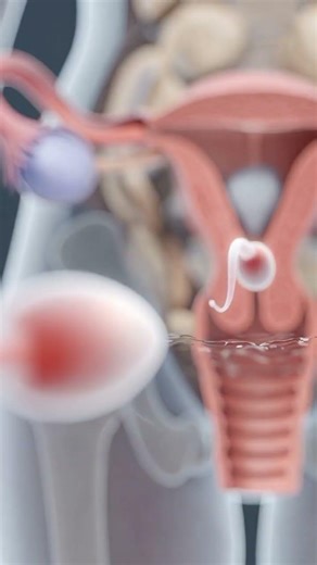 Journey to Life: The First 12 Seconds Inside the Human Body