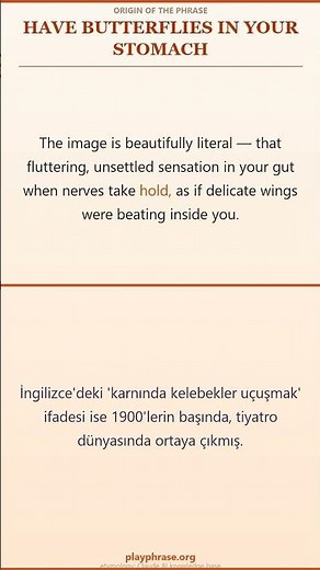 What Does "Have Butterflies In Your Stomach" Mean? Origin & Meaning #shorts
