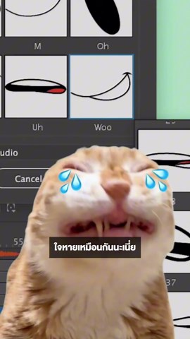 ช็อก! Adobe Animate จะปิดให้บริการในปี 2027