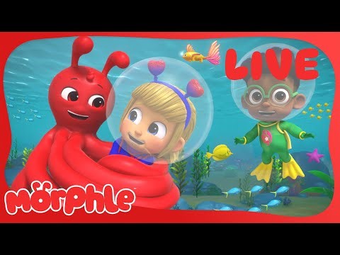 Morphle LIVE 🔴 Animal Adventure Marathon 🦁🐘🐒 – Non-Stop Kids Cartoons