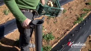 Bulb Planter Tool for Vegetables and Bulbs– Manual Seedling Transplanter with Sharp and Reinforced Tip – Durable and Stainless Steel Gardening Tool for Soft Loam Soil – Easy Garden Planting