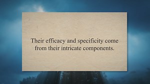 Components of Enzymes