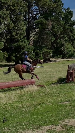 Repost coz my other acc got banned #bestponyever🐴❤️ #showjumpingpony❤️ #myponyiscuterthanyours #fypppppppppppppppppppppppppppppp