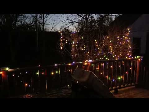 Outdoor flashing holiday lights