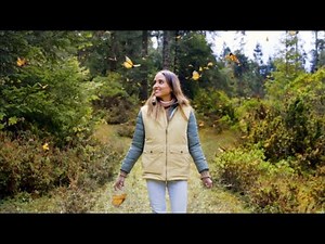 Age of Change: The restoration of Monarch butterfly habitats