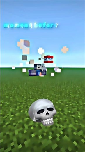 best tnt canel ever #mincraft #shorts