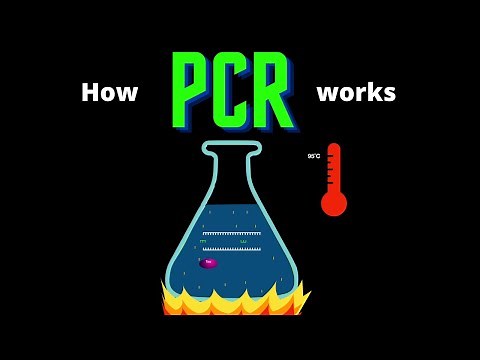 USMLE Step 1 - Lesson 25 - PCR and RTPCR