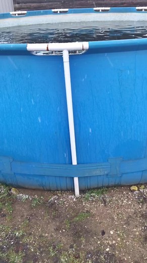 Exploring a Blue Above-Ground Pool Setup