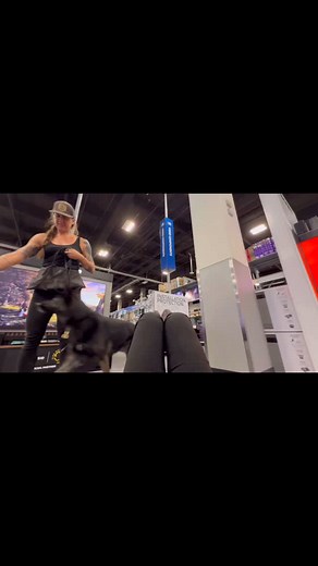 #dogtraining #dogtrainer #phoenix #arizona #scottsdale #peoria #maricopacounty #arcadia #downtown #cpdtka #trainyourdog #germanshepherd #confidencebuilding #socialization | Active K9 Training Solutions