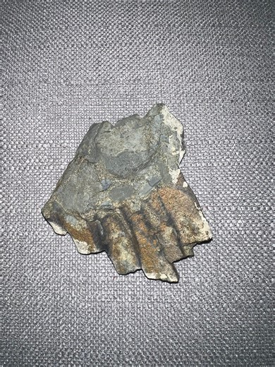 Colorado Rockhounding | Hi! I think this is a fossil but I’m wondering if anyone knows what kind it might be | Facebook