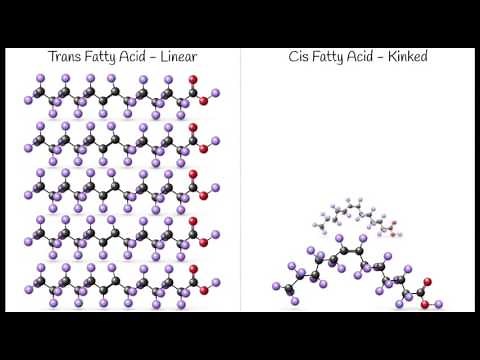 Trans vs Cis Fat Shapes and how they stack