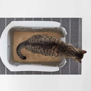 Modkat Litter Tray