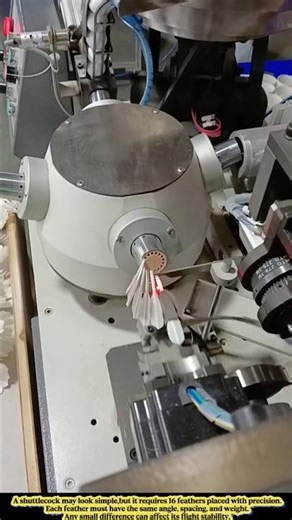 How 16 Feathers Are Perfectly Placed to Create a Professional Shuttlecock That Flies Stable