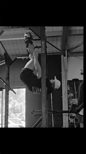 TS TOY: Inversion Boots - Hanging Crunches