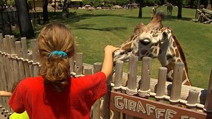 LIST: Parents guide to Spring Break during ongoing COVID-19 pandemic