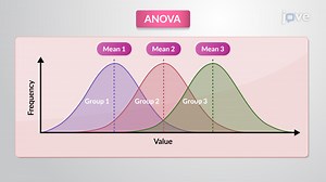 ビデオ: パラメトリックデータを分析するための統計的手法: ANOVA