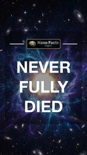 White Dwarfs Outlive Everything #space #universe