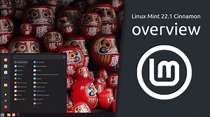 Linux Mint 22.1 “Xia” Cinnamon overview | Sleek, modern, innovative. — Hive