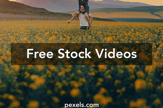 Romantic Videos, Download The BEST Free 4k Stock Video Footage & Romantic HD Video Clips