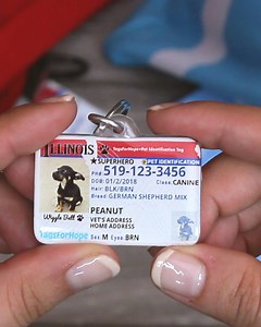 Check this out! 👀 The cutest pet ID tags ever!! Fully customizable, 2 sizes to pick from, FREE lifetime warranty, and free shipping too! 😍🐶 | TagsforHope