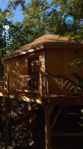 Les cabanes insolites d'Herbeumont "Mon lit dans l'arbre" avec tout confort dans une petite forêt de chêne préservée propice aux belles promenades. 🌿#cabanesdanslesarbres | Les Ambassadeurs - RTBF