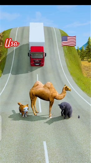 Beautiful Cars & Longer Bus vs Camel 3D Character Model #beamng #usagame #usa