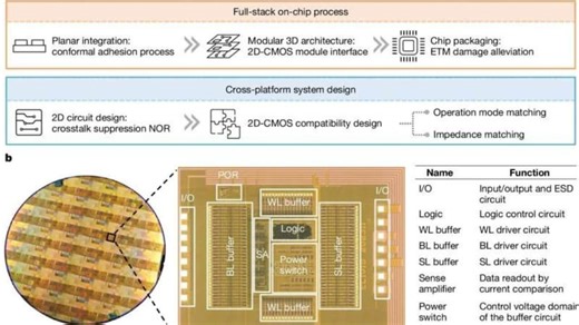 Scientists Create World’s First Hybrid Chip Merging 2D Materials With Silicon