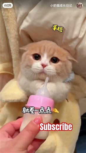 Nice Chinese Girl #rednote #Subscribe