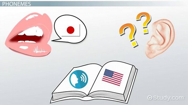 Language Acquisition | Definition, Stages & Process