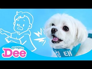 Be Careful With a Pup | Pet etiquette for everyone | Safety first ⛑ | Dragon Dee Kids Songs