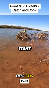 467K views · 3.7K reactions | Giant CRAB - Catch and Cook - Survival without food P9 #camping #crab #catchandcook #Outdoors #fishing #fielddays #fyp | Paul Roberts | Facebook