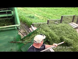 Making Silage