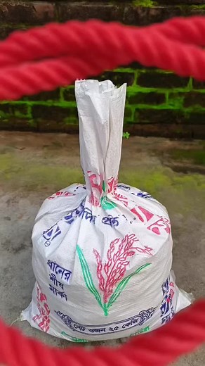 How to Make a Basketball Net at Home – Easy Knot Tutorial