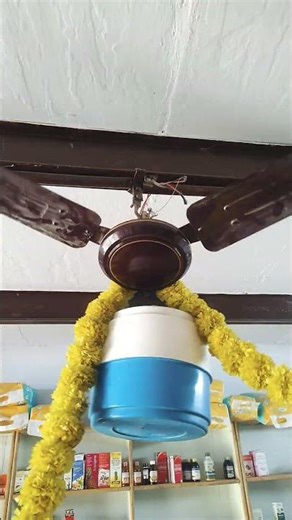 camper vs ceiling fan crazy experiment funny shorts #trending #viralshorts #funnyshorts