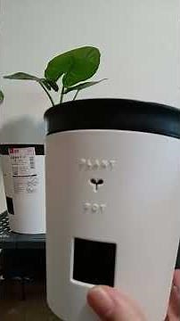 即買い！ダイソー底面給水ポット！大中小