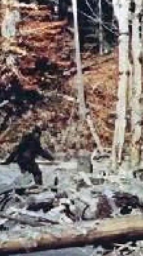 SCP 1000 : Bigfoot : truyền thuyết đô thị tại nhiều quốc gia Châu Á.