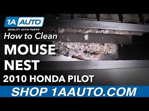 How to Clean Mouse Nest Out Of Cabin Air System 09-16 Honda Pilot