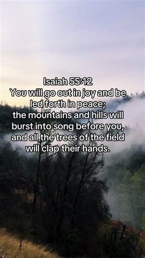 Finding Joy and Peace in Isaiah 55:12