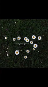 mai vari javaan #jhol #song #love #music #maanu #talhaanjum #arijitsingh