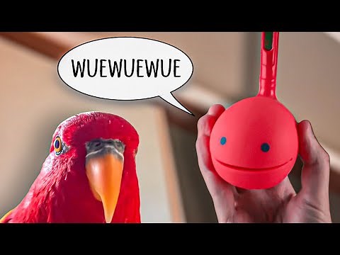 Red otamatone staring
