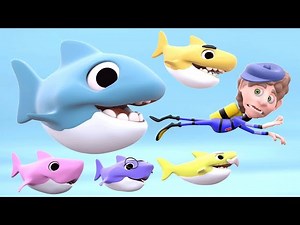 Baby Shark Song | 3D Rhymes Animal Songs | Learn English Kids - Videos For Kids